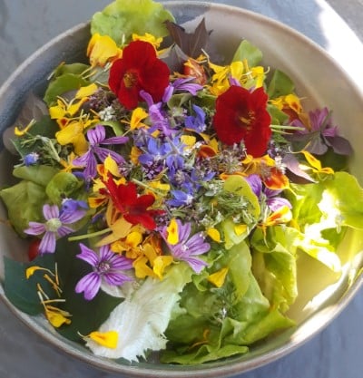 salade de fleur 5 (Très petit)