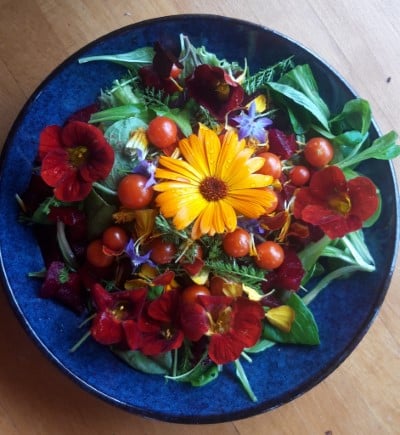 salade de fleur